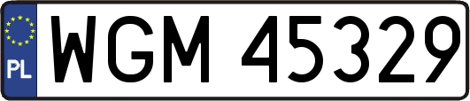 WGM45329