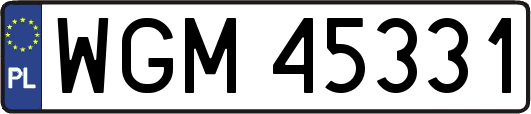 WGM45331