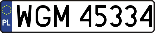 WGM45334