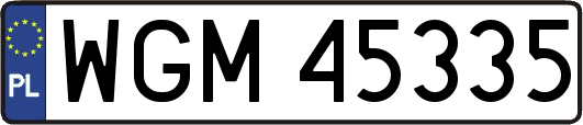 WGM45335