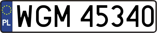 WGM45340