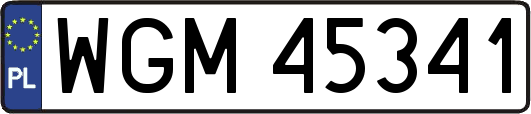 WGM45341