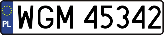 WGM45342