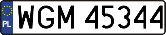 WGM45344
