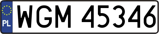 WGM45346