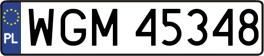 WGM45348