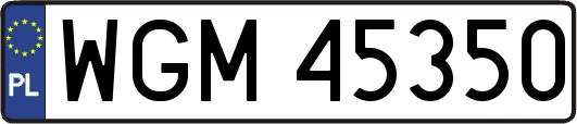 WGM45350