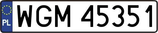 WGM45351