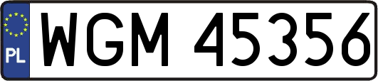 WGM45356