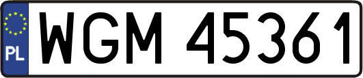 WGM45361