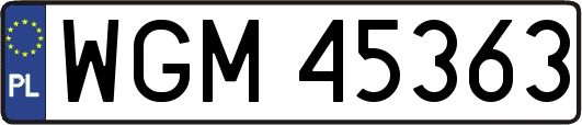 WGM45363