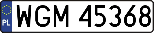 WGM45368