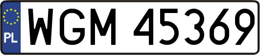 WGM45369