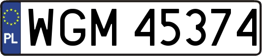 WGM45374