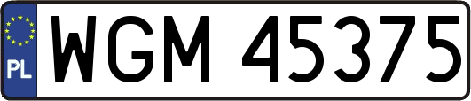 WGM45375