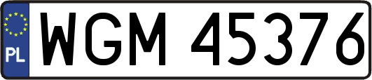 WGM45376