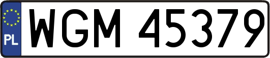WGM45379