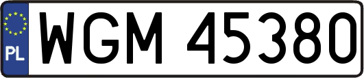 WGM45380
