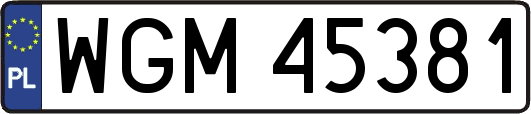 WGM45381