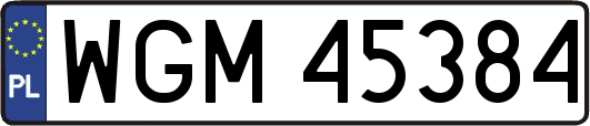 WGM45384