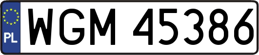 WGM45386
