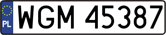 WGM45387