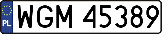 WGM45389