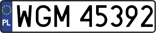 WGM45392