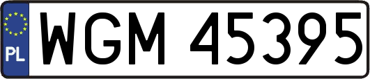 WGM45395