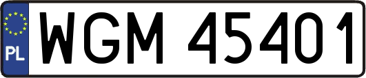 WGM45401