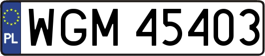 WGM45403