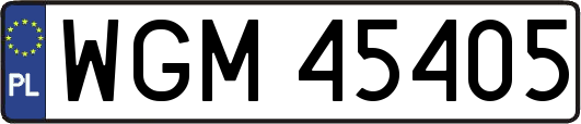 WGM45405
