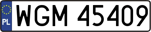 WGM45409