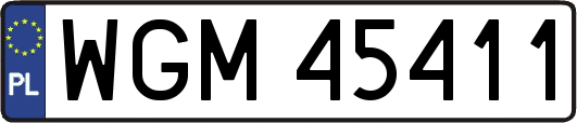 WGM45411