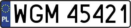 WGM45421