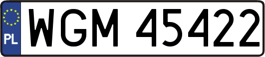WGM45422
