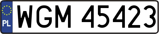 WGM45423