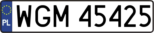 WGM45425