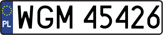 WGM45426