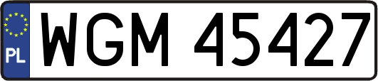 WGM45427