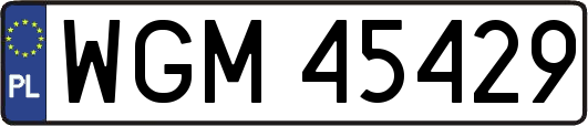WGM45429