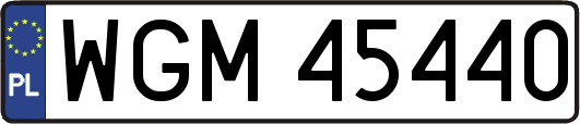 WGM45440