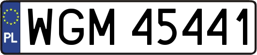 WGM45441