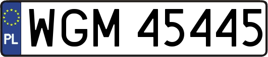 WGM45445