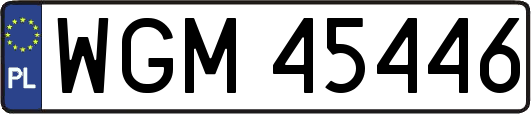 WGM45446