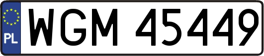 WGM45449
