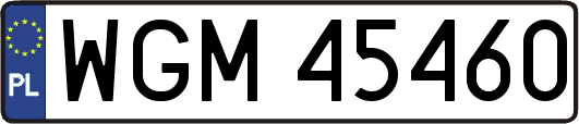 WGM45460