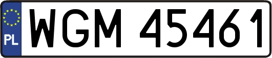 WGM45461