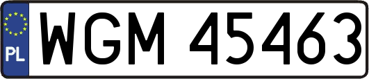 WGM45463