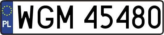 WGM45480